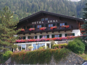 Отель Hotel Erna  Бреннер